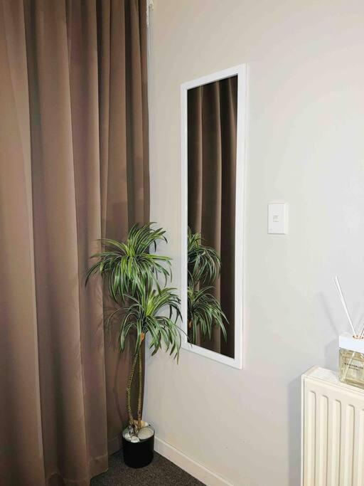 כרייסטצ'רץ' Cosy Motel Studio Apartment In Central City-Up To 2 Beds מראה חיצוני תמונה